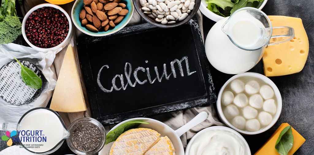 yinimodel post visuelbasic calcium